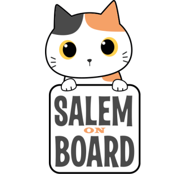 Sød kat om bord med navnet bilmærke - TenStickers