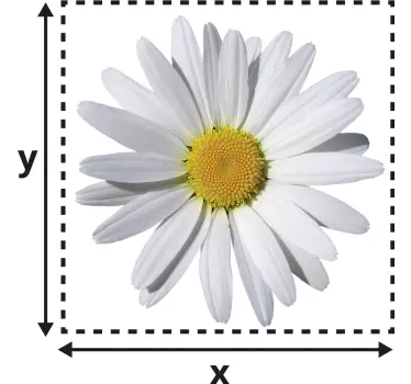 Stikkontakt sticker marguerit - TenStickers