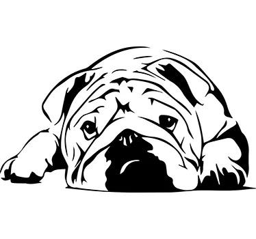 Sød bulldog illustration vægklistermærke - TenStickers