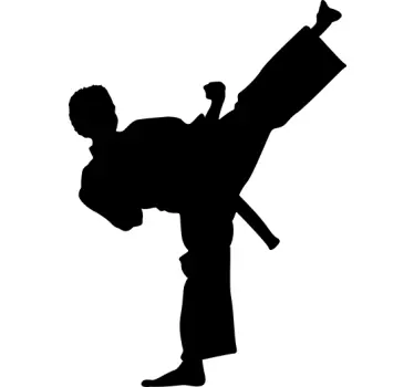 Karate silhuet klistermærke - TenStickers