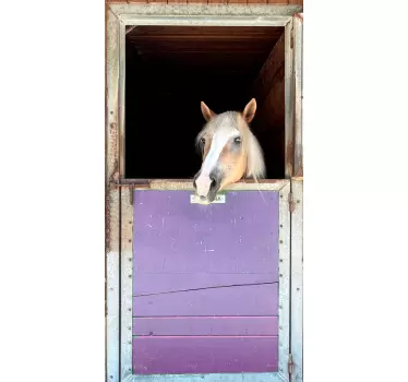 Stabil hest wallsticker til dør - TenStickers