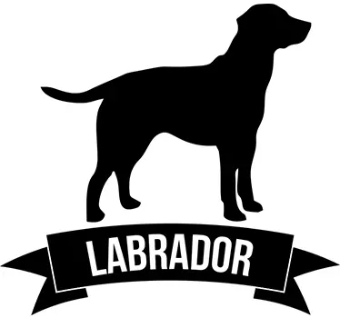 Labrador hunde race væg klistermærke - TenStickers