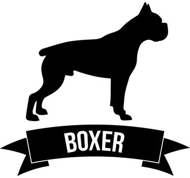Boxer hund klistermærke til klistermærke - TenStickers