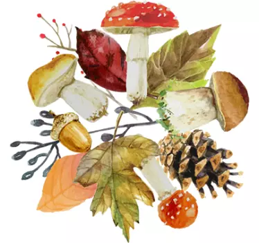 Efterårs wallsticker svampe nødder blade - TenStickers