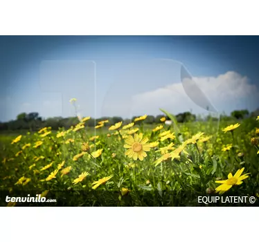 Gule tusindfryd eng eng - TenStickers