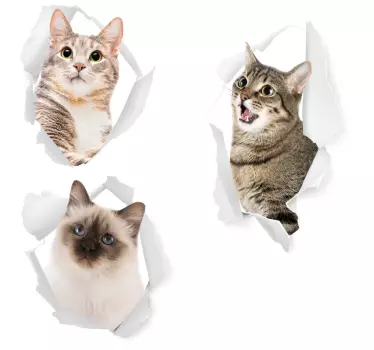Kattens dyre mur mærkat - TenStickers
