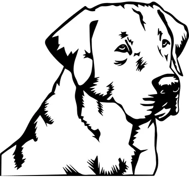 Labrador retriever klistermærke - TenStickers