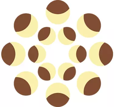 Månefaser videnskabets vægklistermærke - TenStickers