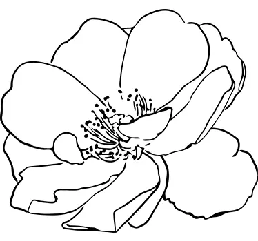 Mono-farve blomst - TenStickers