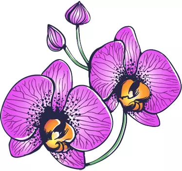 Orkidé blomster mærkat - TenStickers