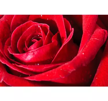 Rød rose stue væg indretning - TenStickers