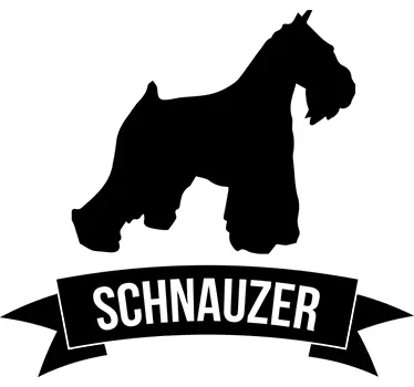 Silhuet schnauzer vægklistermærke - TenStickers