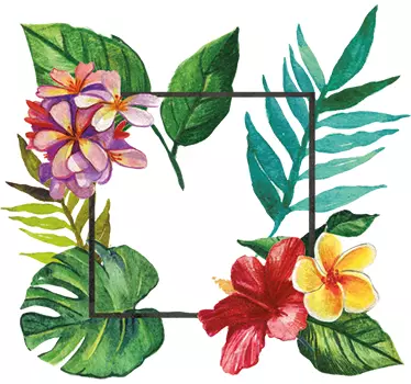 Tropisk ramme blomster mærkat - TenStickers