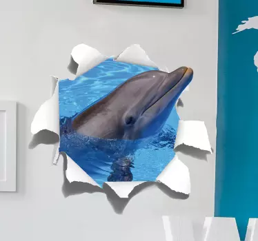 Dolphin visuelle effekter væg klistermærke - TenStickers