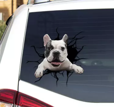 Klistermærke til bil hund igennem ruden - TenStickers