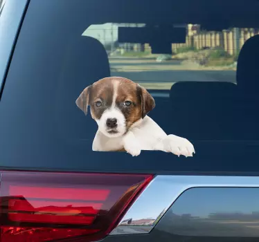 Hunden kigger wallsticker - TenStickers