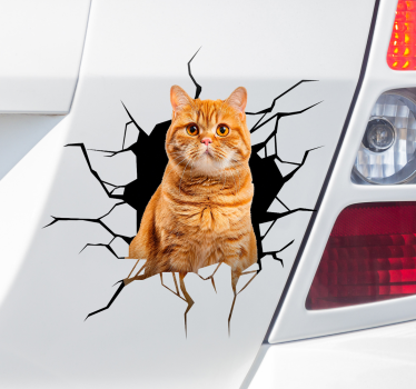 Kat i hul klistermærke til bil - TenStickers