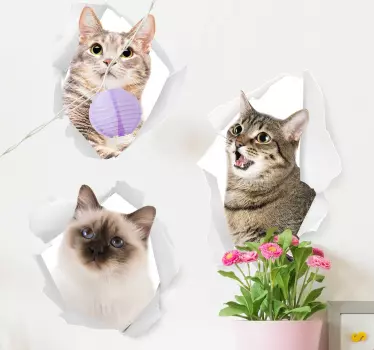 Kattens dyre mur mærkat - TenStickers