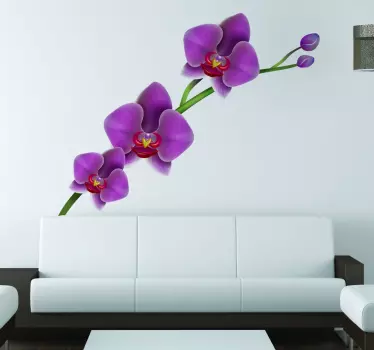 Klistermærke med orkidéblomster - TenStickers