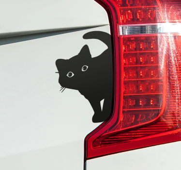 Nysgerrig kat klistermærke til bil - TenStickers