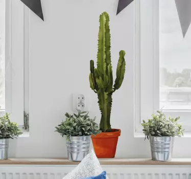 Plante kaktus wallsticker - TenStickers