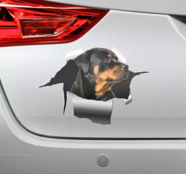 Rottweiler i hul klistermærke til bil - TenStickers