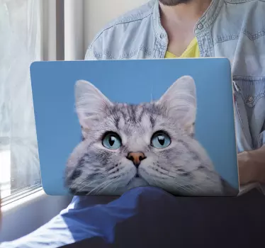 Søde kat ansigt laptop klistermærke - TenStickers
