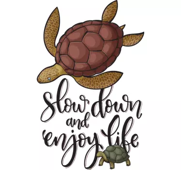 Forskellige skildpadder t-shirt - TenStickers