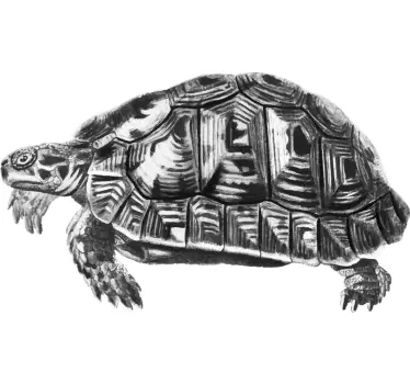 Vintage skildpadde illustration t-shirt - TenStickers