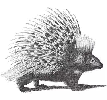 Porcupine art sort og hvid t-shirt - TenStickers