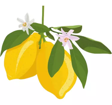 Citron frugt træ søde t-shirt - TenStickers