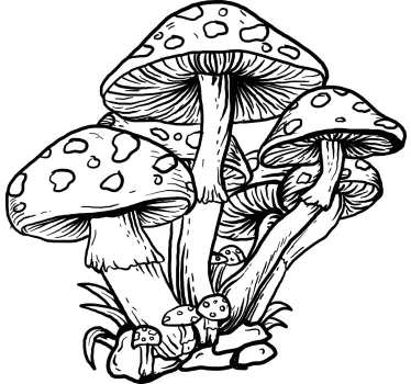 Håndtegnet illustration champignon t-shirt - TenStickers