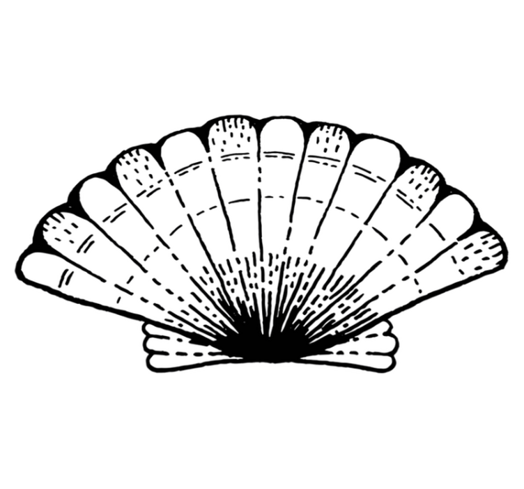 Muslingeskal dyr vinyl tæppe - TenStickers