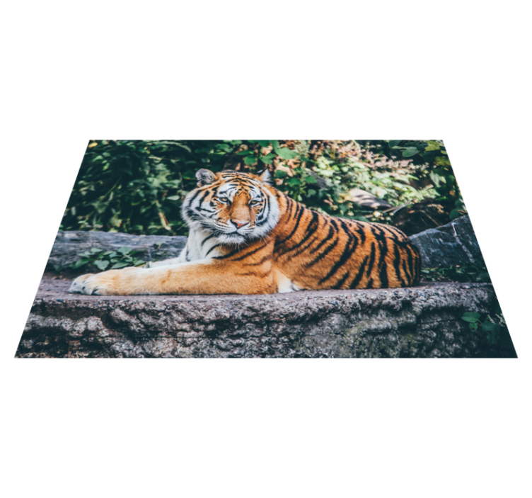 Animal majestætisk tiger vinyl tæppe - TenStickers