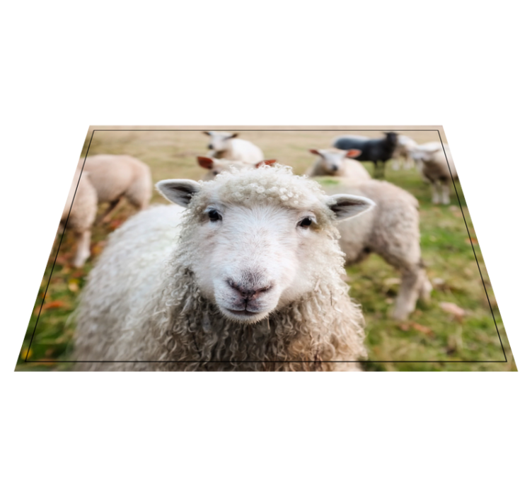 Krøllet fåreansigt vinyltæpper med dyr - TenStickers