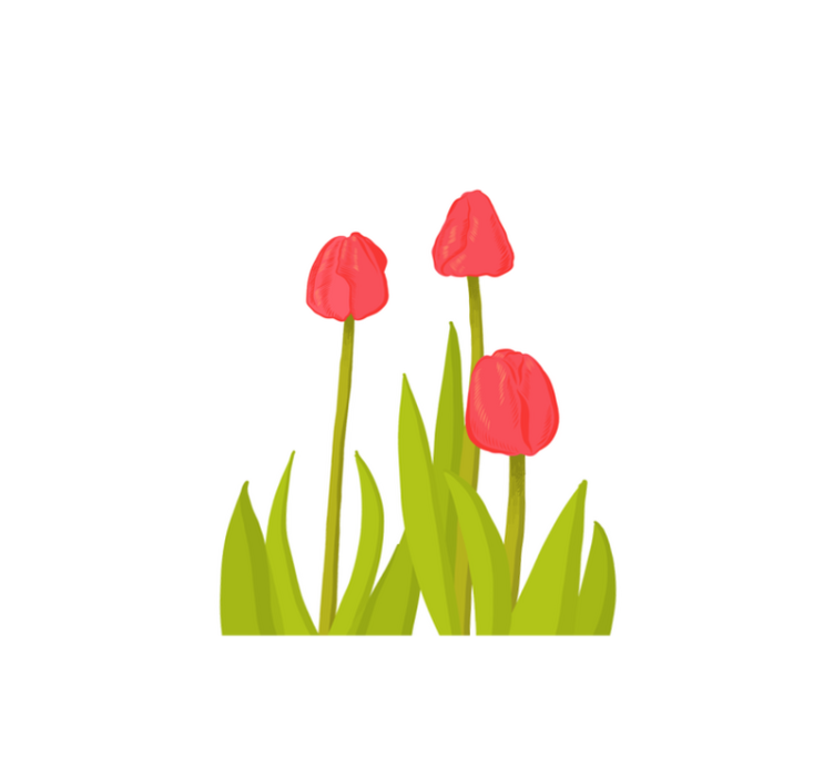 Levende tulipanblomst Blomster og planter vinyltæppe - TenStickers