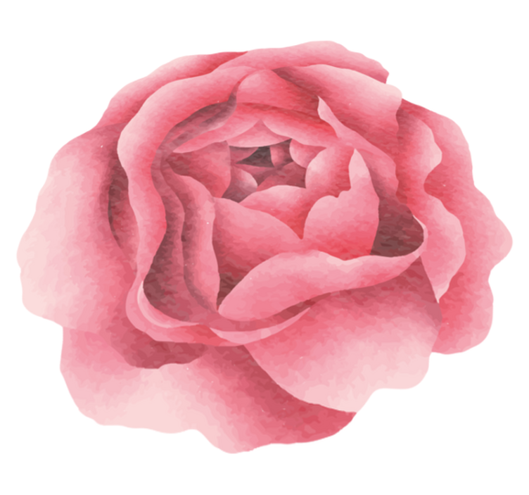 Blush pink blomst Blomster og planter vinyltæppe - TenStickers