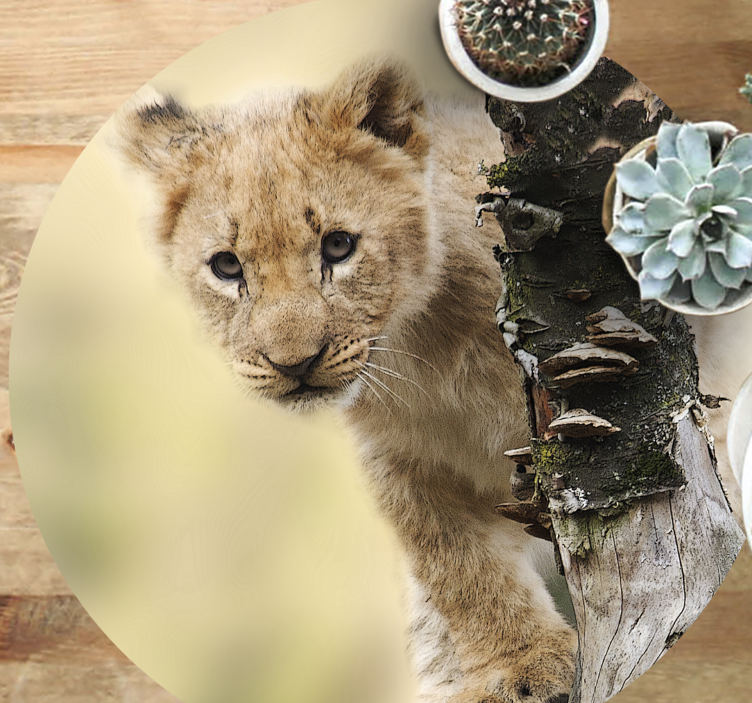 Dyr sød lille løve vinyl tæppe - TenStickers