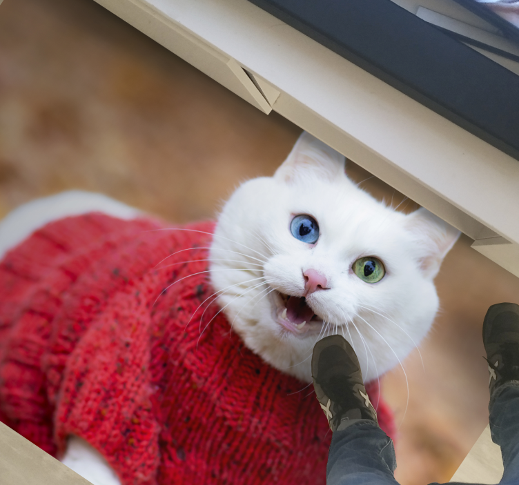 Legende kattetrøje vinyltæpper med dyr - TenStickers