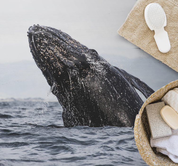 Majestætisk hvalspring natur vinyl tæppe - TenStickers