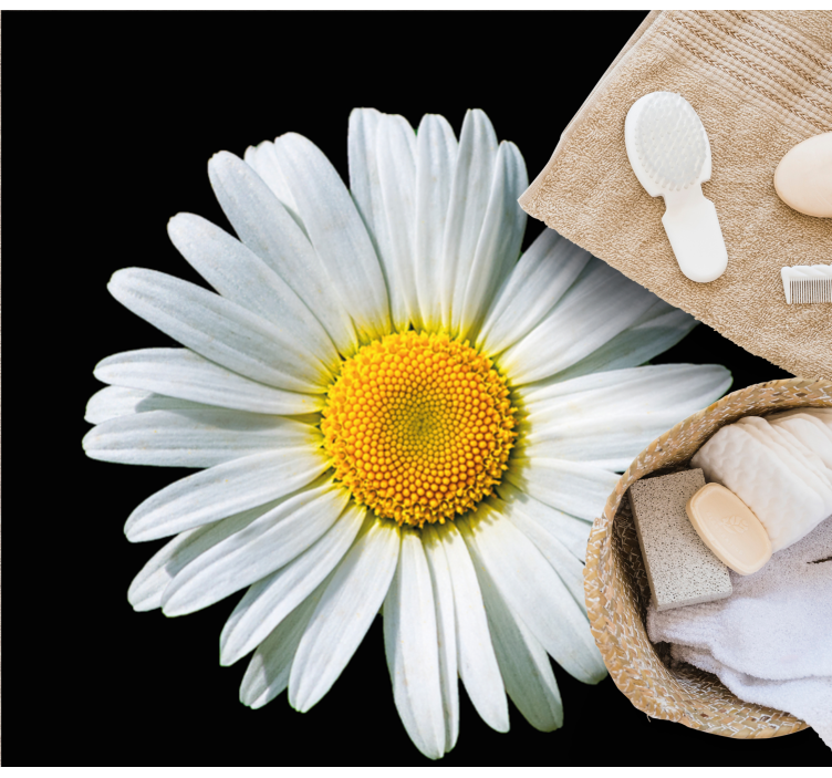 Margueritblomst Blomster og planter vinyltæppe - TenStickers