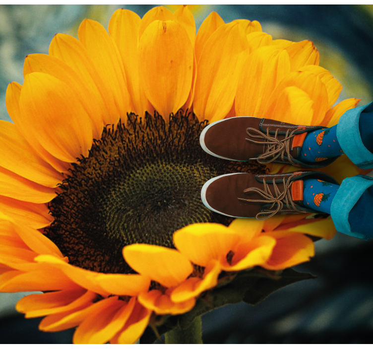 Solsikke, der blomstrer lyst Blomster og planter vinyltæppe - TenStickers