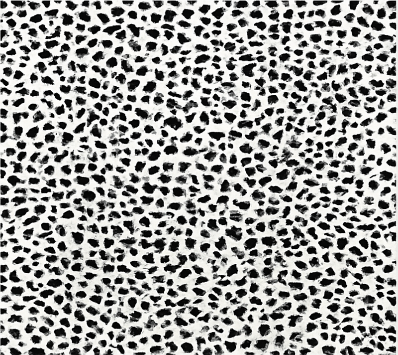 Monokrom leopardprint vinyl tæppe til spisestue - TenStickers
