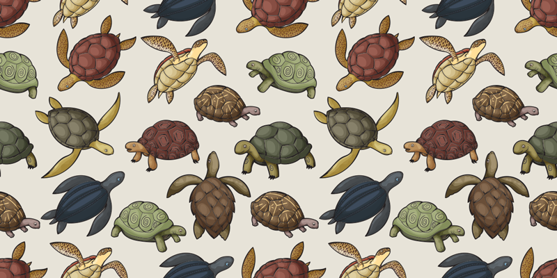 Vinyltæpper med dyr forskellige skildpadder - TenStickers