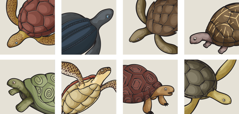 Vinyltæpper med dyr skildpadde design - TenStickers