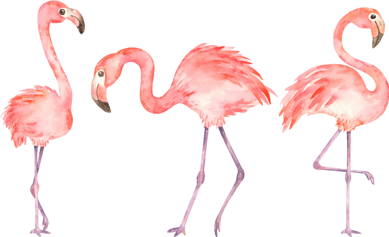 Vinyltæpper med dyr elegant flamingo trio - TenStickers