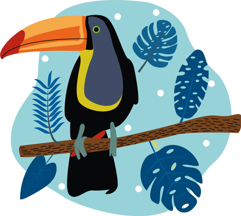 Vinyltæpper med dyr tropical toucan perched - TenStickers