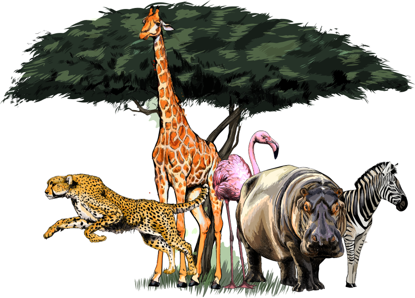 Vinyltæpper med dyr giraffefamilie safari - TenStickers