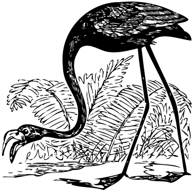 Vinyltæpper med dyr flamingo med bregner - TenStickers