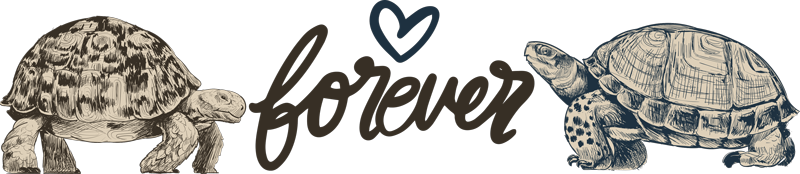 Vinyltæpper med dyr turtles forever kærlighed citater - TenStickers